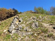 MONTE ZUCCO ad anello via linea tagliafuoco dalla Pernice (20apr21) - FOTOGALLERY